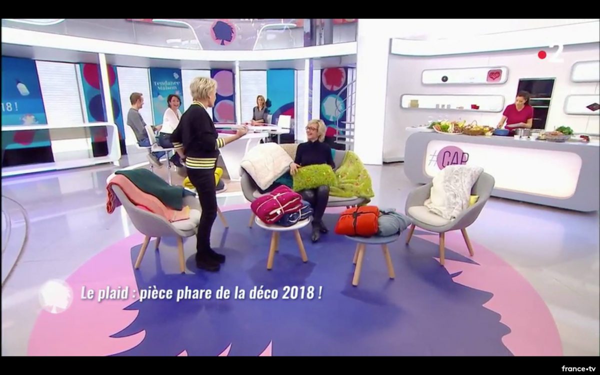 C&rsquo;EST AU PROGRAMME / FRANCE 2